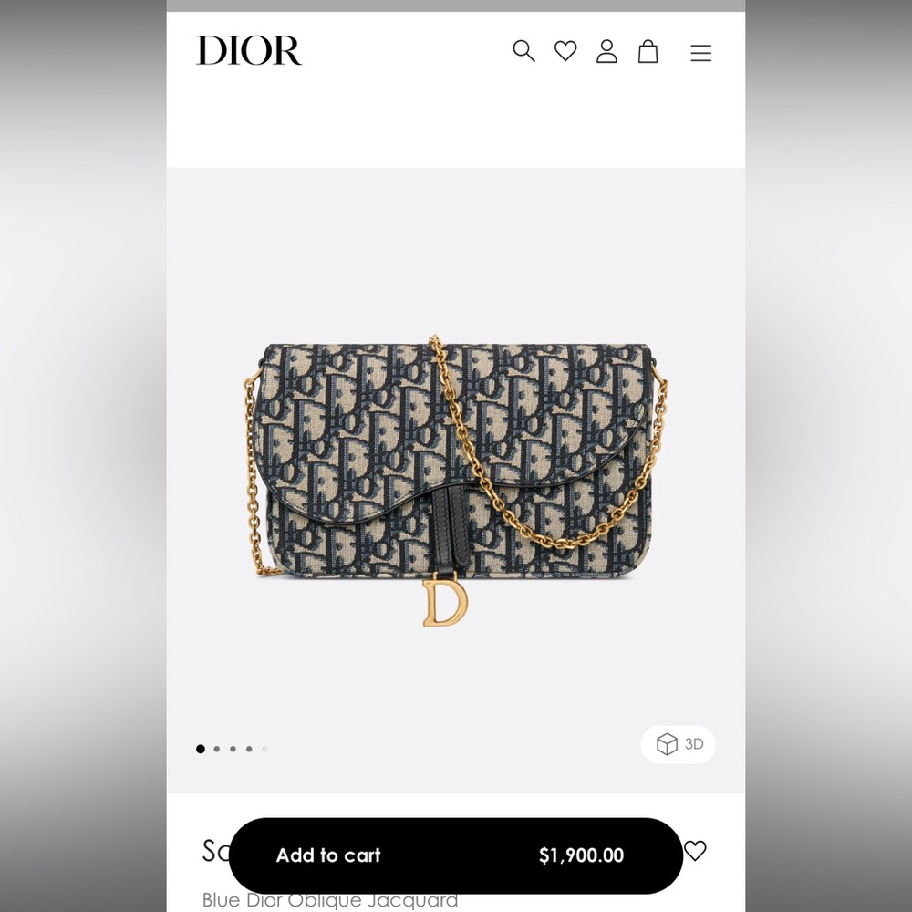 Dior Saddle Pouch with Chain